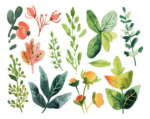 Fototapeta na wymiar Watercolor plant stickers cutout
