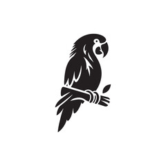 Avian Majesty: Parrot Silhouettes Conveying the Majestic Presence of Feathered Elegance - Parrot Illustration - Parrot Vector
