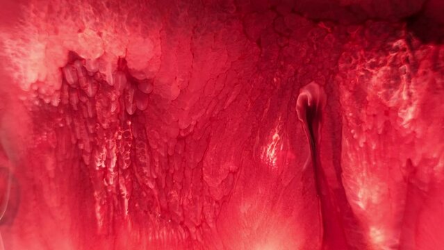 Red ink spreading in water, resembling organic tissue or lava flow, macro close-up