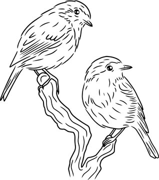 recommend clip art: Line art birds