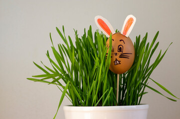 Funny bunny face painted Easter eggs in the grass in th pot, handmade homemade diy decoration on the table, green leaves