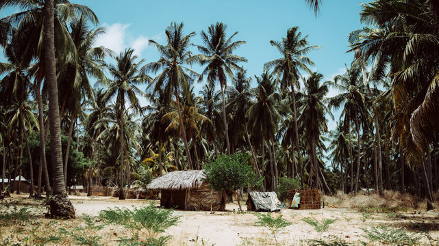 The insurgency in Cabo Delgado is an ongoing Islamist insurgency in Cabo Delgado Province, Mozambique, mainly fought between militant Islamists and jihadists attempting to establish an Islamic state.
