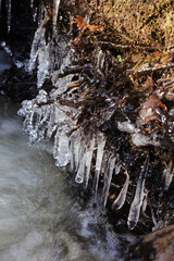 Icicles on the side of a rock, Derbyshire England
