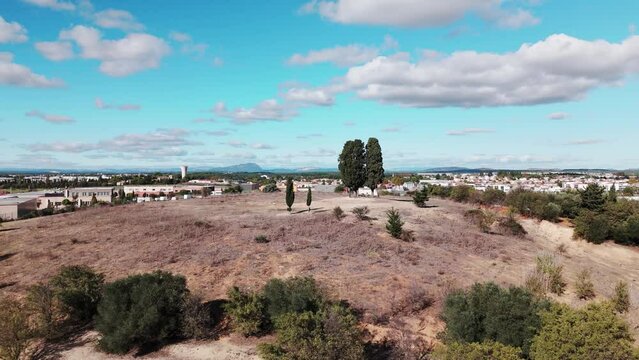 Montpellier's Twin Cypress Trees: Landmarks in the Commune of Saint Aunes