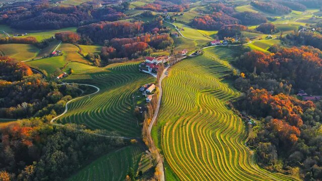 Stunning aerial 4K drone footage  of an wine region of Jeruzalem, Slovenia. Filmed on a crisp, sunny late autumn day, this video shows beautiful Slovenian countryside surrounded by vineyards.