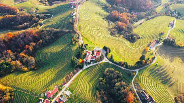 Stunning aerial 4K drone footage  of an wine region of Jeruzalem, Slovenia. Filmed on a crisp, sunny late autumn day, this video shows beautiful Slovenian countryside surrounded by vineyards.