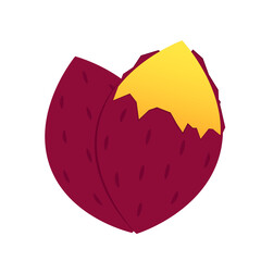 Sweet potato. Organic healthy vegetable. Fresh natural root. Made in vector cartoon flat style. Roasted sweet potato. Japanese Sweet potato.