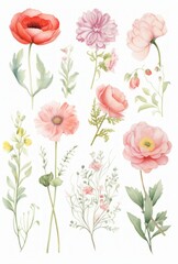 Set of watercolor drawn isolated flowers, twigs, buds. Delicate floral motifs, elements for textiles, wallpaper, patterns. Batanic illustration.