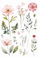Fototapeta na wymiar Set of watercolor drawn isolated flowers, twigs, buds. Delicate floral motifs, elements for textiles, wallpaper, patterns. Batanic illustration.