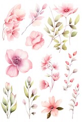 Obraz premium Set of watercolor drawn isolated flowers, twigs, buds. Delicate floral motifs, elements for textiles, wallpaper, patterns. Batanic illustration.