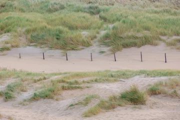 Crédence de cuisine en verre imprimé Mer du Nord, Pays-Bas White sand dunes along the Dutch north sea coastline, European marram grass (beach grass) on the dyke, Ammophila arenaria is a species of grass in the family Poaceae, Noord Holland, Netherlands.