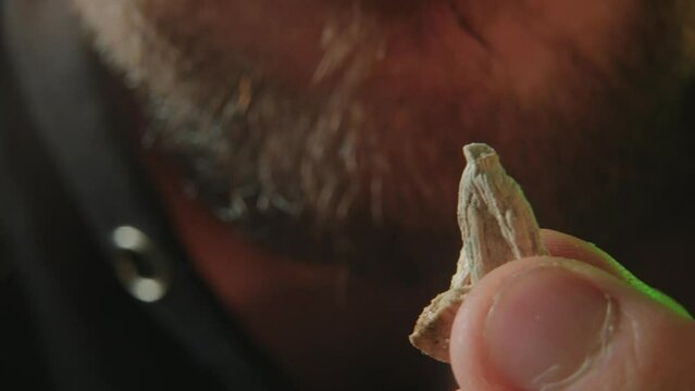 Close up of the face of a man eating magic mushrooms. Psilocybin Mushrooms.