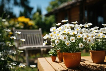 Bouquet of daisies on the table on the terrace. Summer or spring beautiful garden with chamomile flowers.