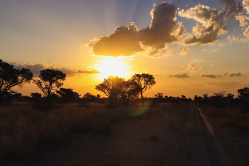 a beautiful african sunset