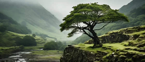 Zelfklevend Fotobehang A majestic maple tree stands alone atop lush green hills, embodying tranquility, strength, and natural beauty. Natural landscape wallpaper background © guruXOX