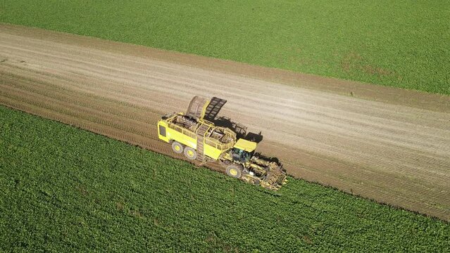 Aerial shot of a yellow beet harvester on a striped field.