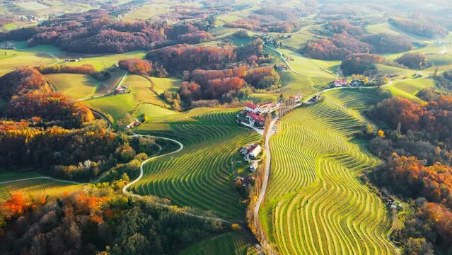 Stunning aerial 4K drone footage  of an wine region of Jeruzalem, Slovenia. Filmed on a crisp, sunny late autumn day, this video shows beautiful Slovenian countryside surrounded by vineyards.