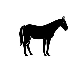 Vector silhouette of a horse. Isolated white background. For coloring, or packaging design, or logo.