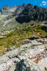 Amazing Zadna Javorova dolina valley with herd of chamois bellow Ladovy stit mountain peak in High Tatras mountains in Slovakia © honza28683