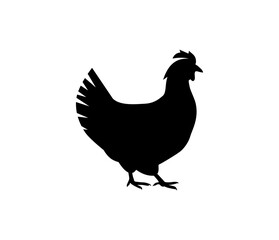 Vector silhouette of chicken, rooster, goose. Isolated on white background. For an icon or logo or packaging design