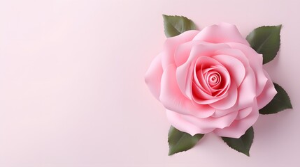 Decorative web banner. Close up of blooming pink roses flowers and petals isolated on white table background. Floral frame composition. Empty space, flat lay, top view