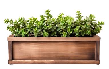Wooden Flower Box isolated on transparent Background