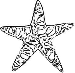 Star brush drawing. Grunge elements