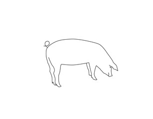 Vector silhouette of pig. Isolated white background. For coloring or packaging design. In linear style.