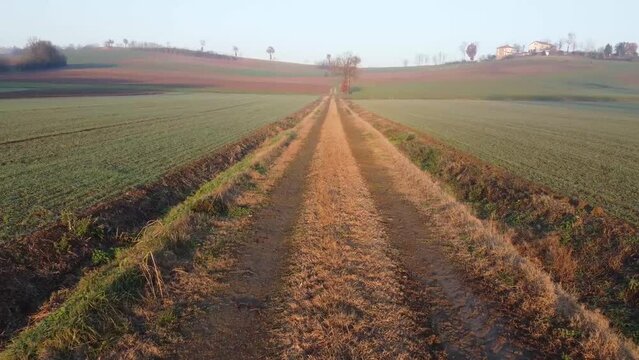 Country road in Valmadonna - Monferrato - Alessandria - Piedmont - Italy