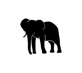 Elephant silhouette, logo.Vector illustration isolated white background