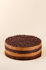 chocolate dessert on a colored background