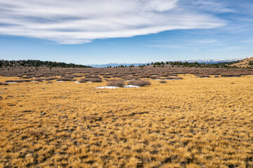 High altitude plateau in the Lost Creek Wilderness, Colorado