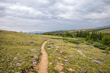 Hiking trail in the Indian Peaks Wilderness, Colorado