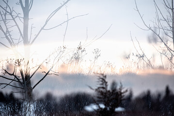 In Camera Double Exposure of at Sunset in winter