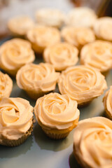 Close up of vanilla cupcakes with frosting arranged on table
