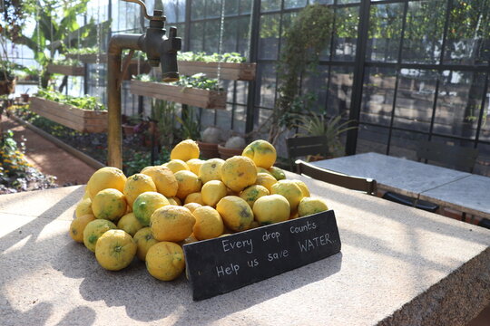 if life gives you lemons, use it in stead of water!