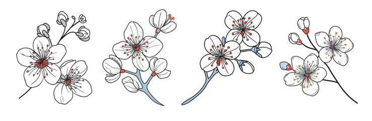 Elegant line drawing of a spring cherry blossom branch. Illustration for invites and cards