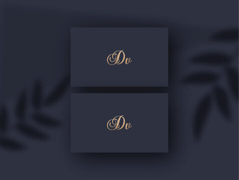 Dv logo design vector image