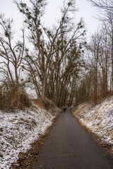 Winterspaziergang im Park