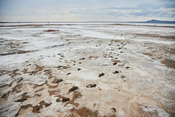 Salt deposits. The place of extraction and sorting of edible salt. Astrakhan deposits on Lake...