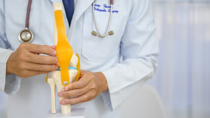 An orthopedic surgeon demonstrating treatment of a human cruciate ligament injury in a knee-joint...