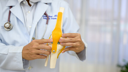 An orthopedic surgeon Wearing a white uniform demonstrating the treatment of a human cruciate...