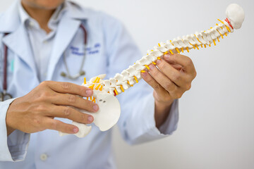 An orthopedic surgeon holds a spinal model as he demonstrates treatment methods for human spinal...