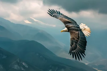 Gartenposter Show an eagle soaring gracefully high in the sky - with a breathtaking panoramic view of mountains below.  © Davivd