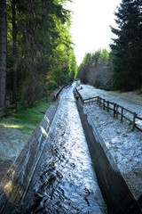 water channel in the forest