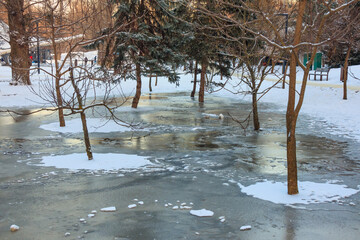 A large puddle has frozen under young trees in a garden or city park. Ice on the ground on a winter...
