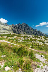Fototapeta na wymiar Beautiful High Tatras mountains in Slovakia - view near Zbojnicka chata hut in Velka Studena dolina valley