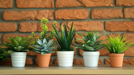 Houseplants in pots of different designs on a wooden shelf against a brick wall background.