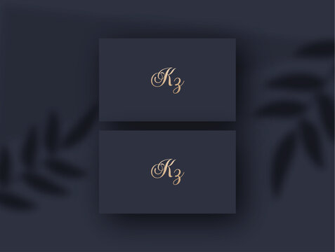 Kz logo design vector image