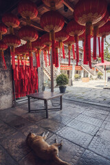 Red Chinese lanterns in the temple in China town, Bangkok. Dog sleeping under chinese lanterns